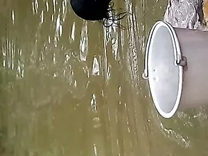 शरारती कॉलेज कभी स्क ...