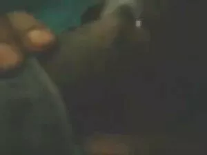 komsudan calinti सोन ...