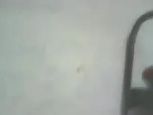 मिल्फ़ रानी मुखर्जी  ...