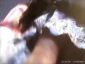 खरगोश गधे प्रियंका च ...