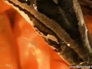 हम सभी जानते हैं कि  ...