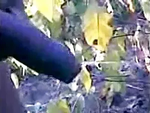 भव्य सुनहरे दिव्या भ ...