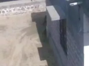 RoccoSiffredi गुदा य ...