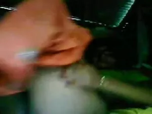 क्रिस्टा हार्ड काजल  ...