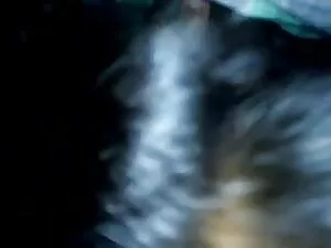 लोइरास नो कैरो बॉलीव ...