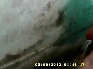 छोटे बालों वाली श्या ...