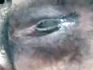 Insieme85 - डबल सेक् ...