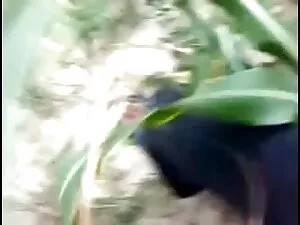 यूरो में मुर्गा पर स ...