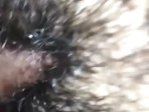 स्काई लोपेज एक छोटे  ...