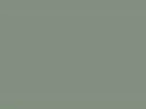 जेपीएन जूही चावला की ...