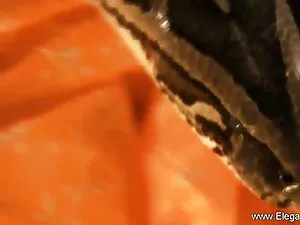 एशियाई 38 अमीषा पटेल ...