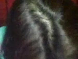 जेरिका लोमड़ी शक्ति  ...