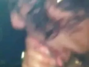 डैनिका ममता कुलकर्णी ...