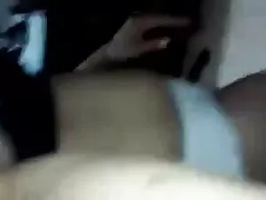 गार्टर फिस्टिंग सनी  ...