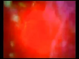 अद्भुत एकल 17 सनी दे ...